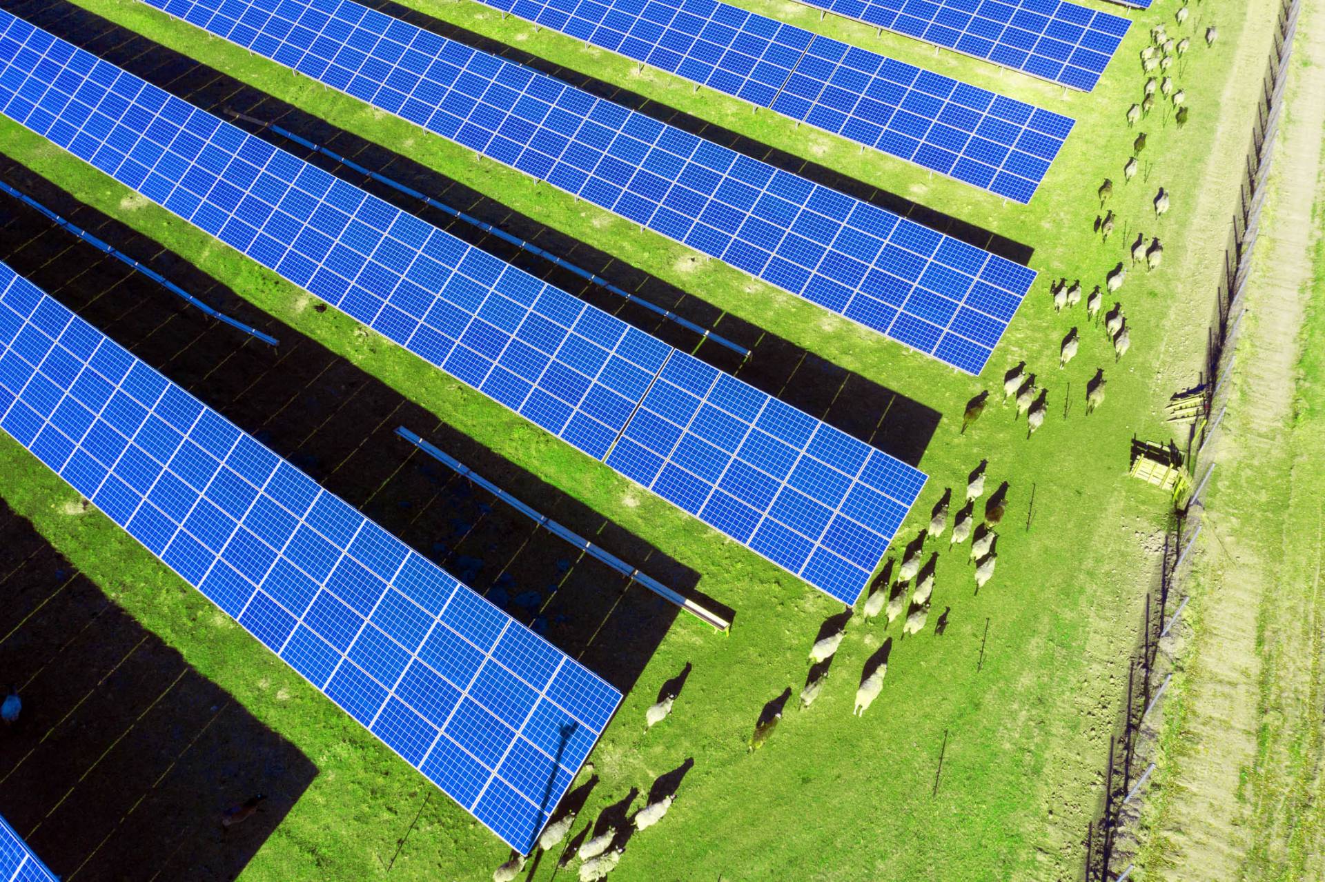 Green light given to New Zealand’s largest solar farm