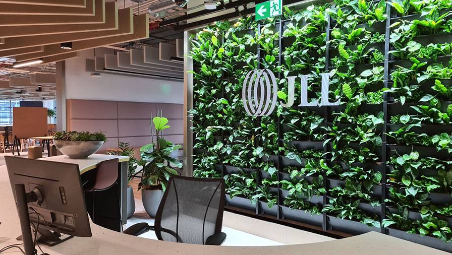 Exodus continues at JLL Auckland