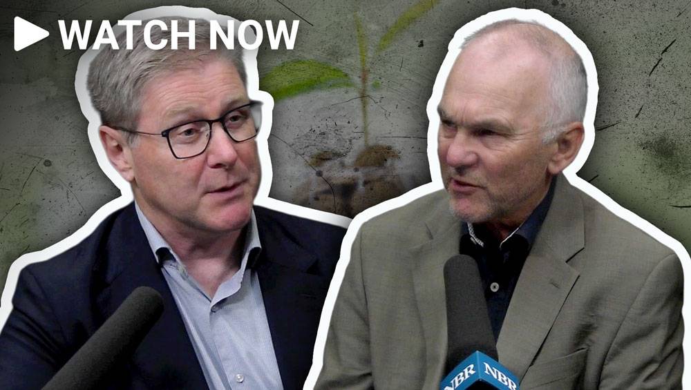 A $22b opportunity: businesses push for climate policy stability