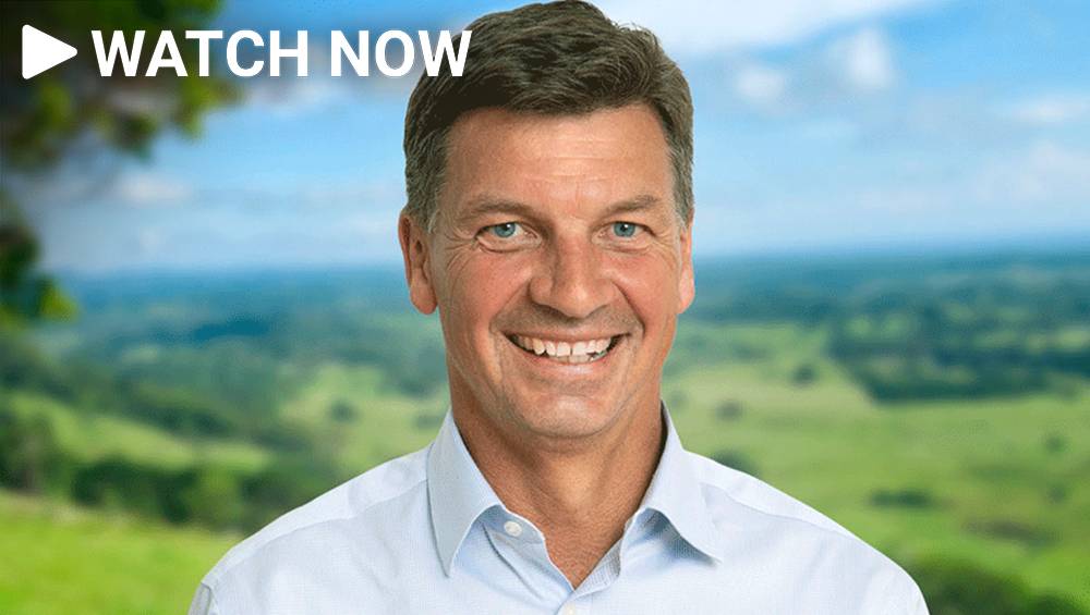 ‘Australian values’ put to the test in new immigration debate