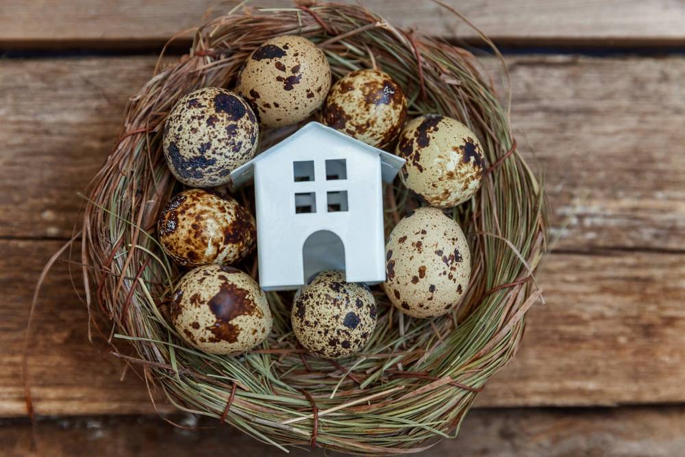 Property portfolio as retirement nest egg becomes less attractive - NBR