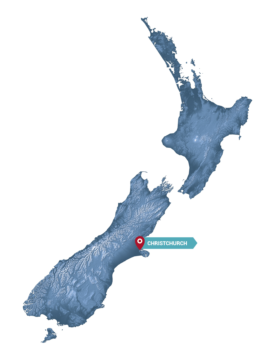 spring sheep christchurch