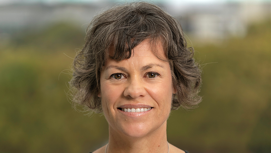 Dr Lucy Mackintosh, curator of history at the Auckland War Memorial Museum.