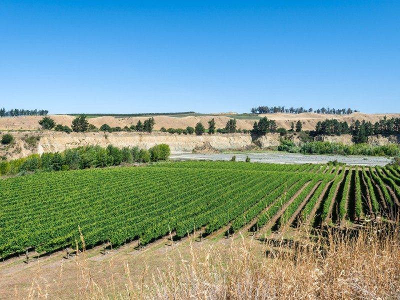 Treasury Wine designates Matua a champion but slashes brands - NBR | Business news & analysis
