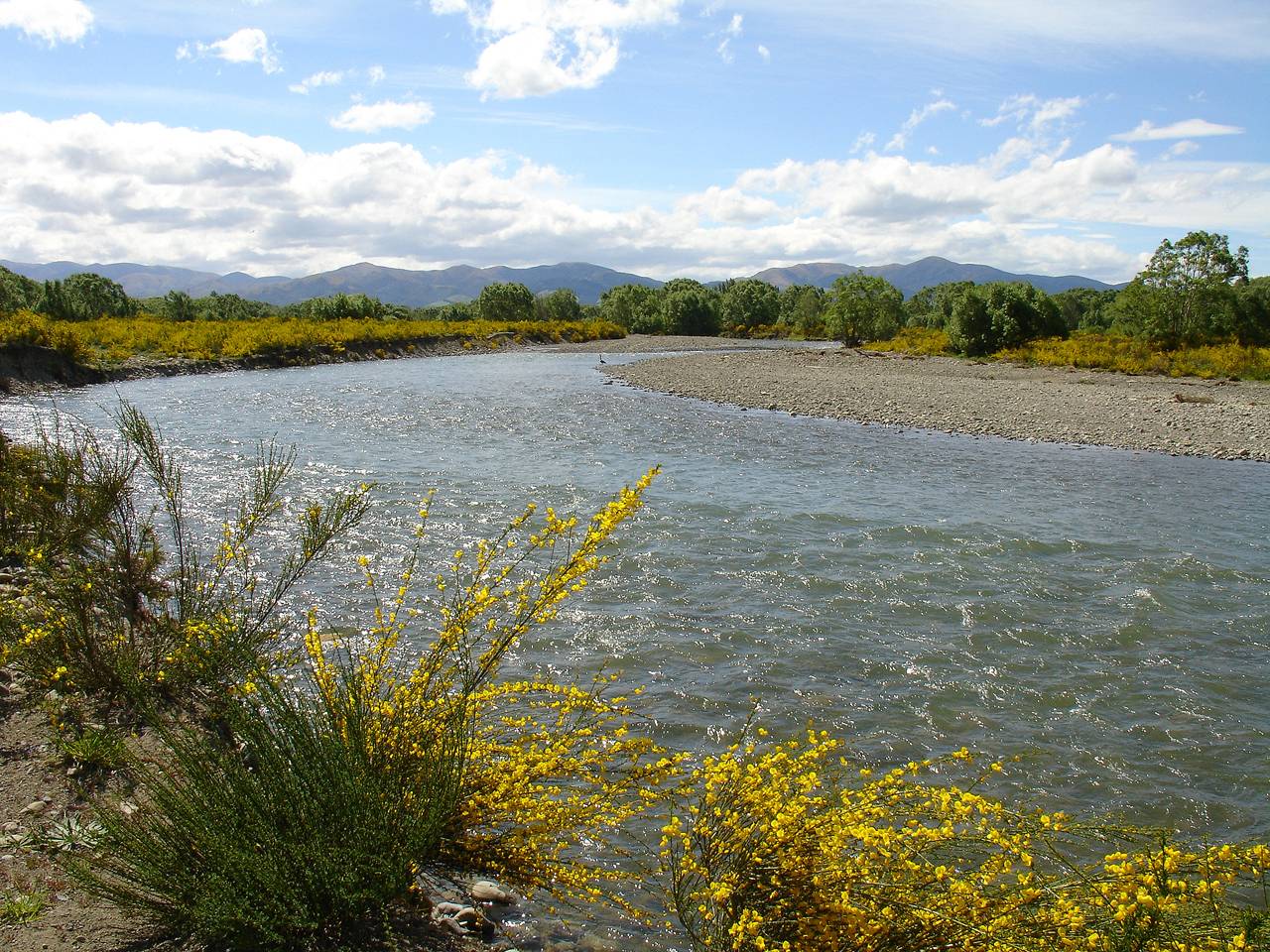 Environmental decisions need better information, says Upton